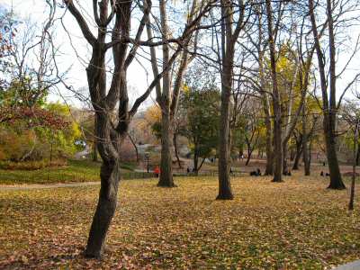 Central Park in Fall - DirtCheapNYC.com