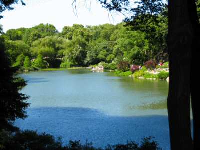 Central Park Lake - DirtCheapNYC.com