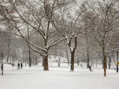 Central Park in Winter - DirtCheapNYC.com