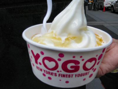 Yogo Truck Tart with Honey - © DirtCheapNYC.com