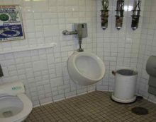 NYC Toilets – Bloomberg’s Greatest Failure